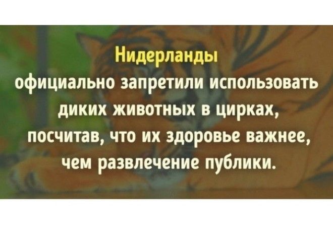 Достойны восхищения!