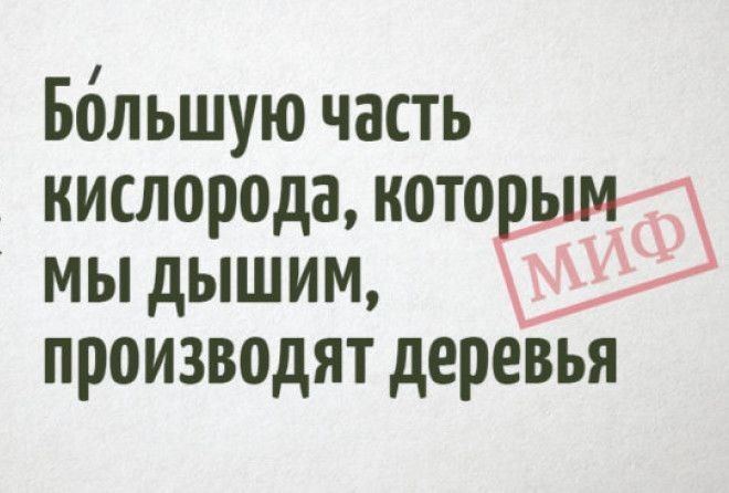 Будьте осторожны, некоторые из пунктов могут перевернуть ваш мир! 