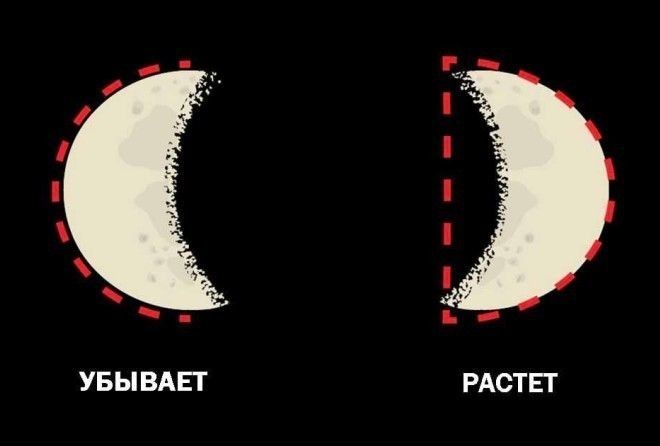 Сколько из них вы запомнили в детстве?