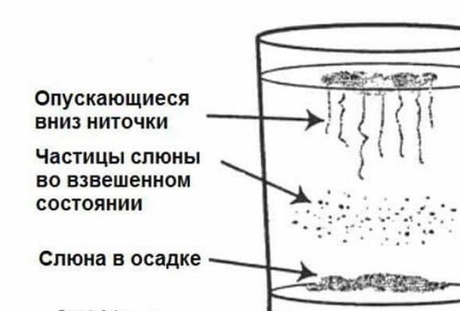 А вы знали это?