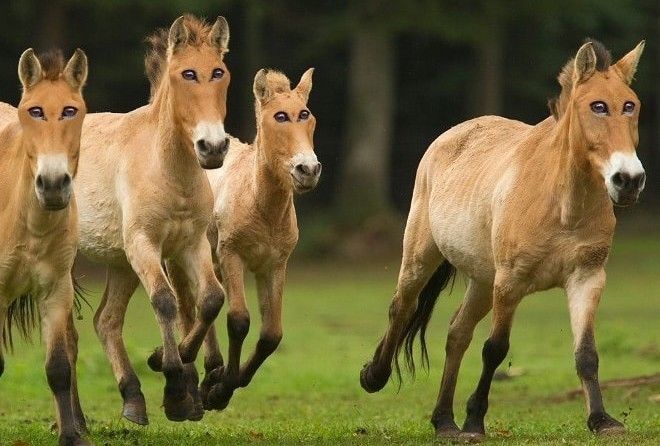 Результат насмешит вас!