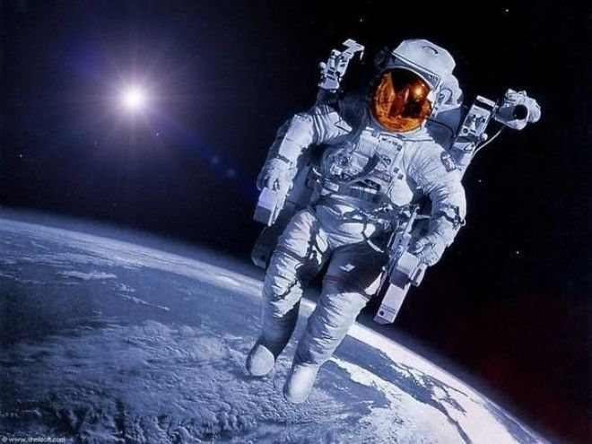 Добро пожаловать на необычную сторону НАСА, где есть место удивительным историям!