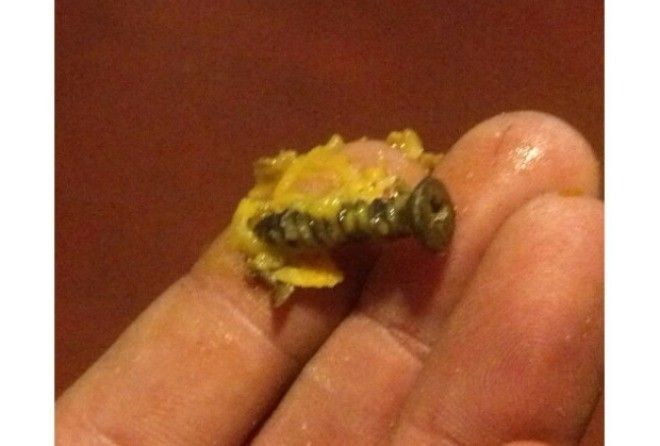 Какой ужас!