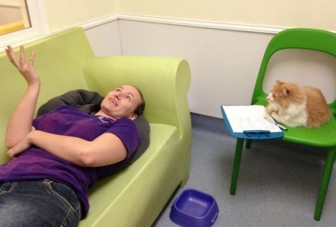 Работа, которая может свести с ума