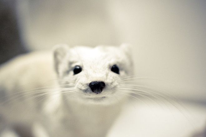 Хватайтесь зубами за свое предназначение и не отпускайте его!