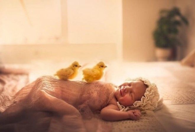 Cплошное умиление!