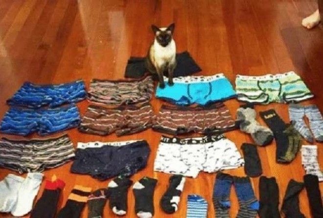 Маленькие негодники!