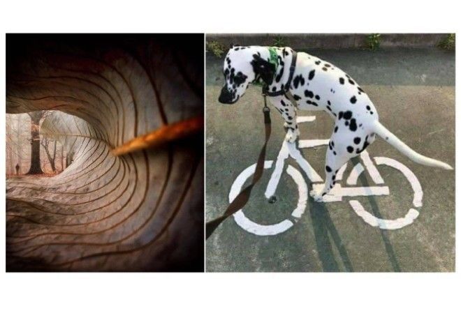 Просто магия!