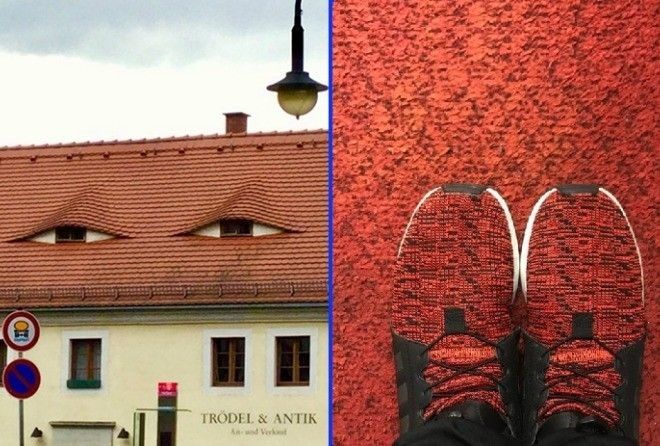 Лимон-морковка нас удивил!