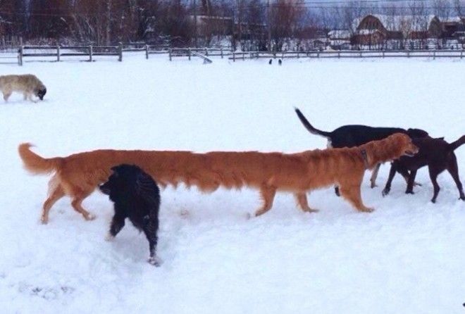 Современные камеры позволяют создавать настоящие шедевры.