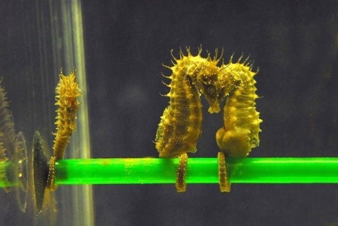 Здесь явно есть чему поучиться!