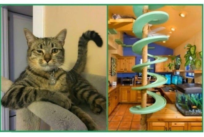 А вы бы отважились на такое?