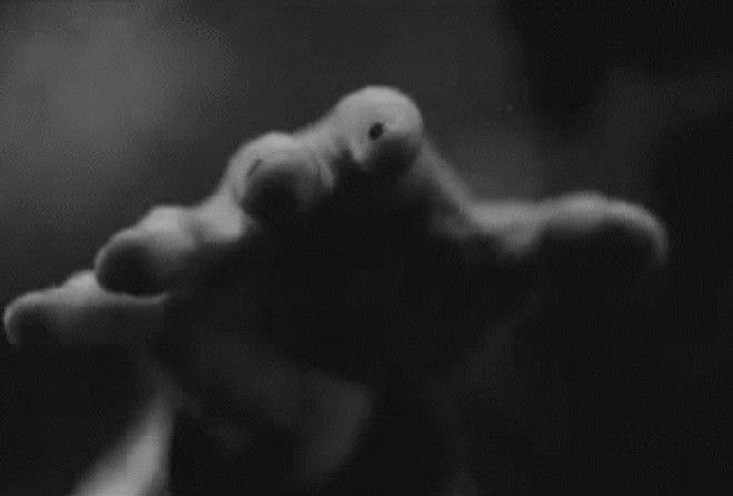 Полезно знать