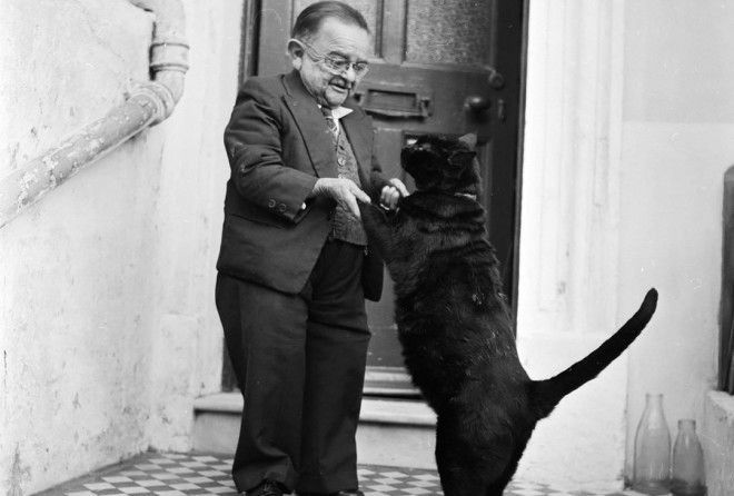 Вы захотите показать их друзьям!