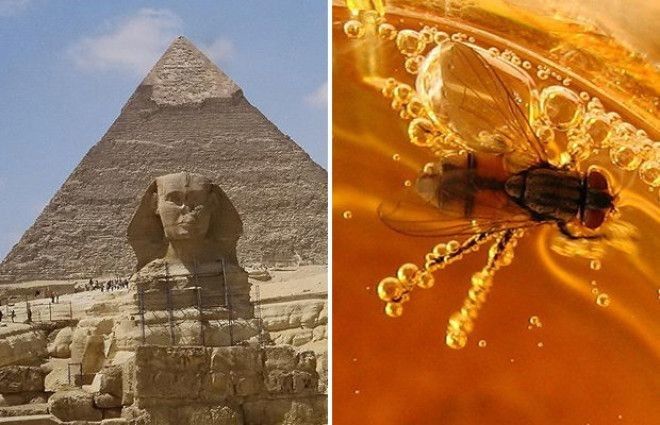 Вы будете крайне удивлены!