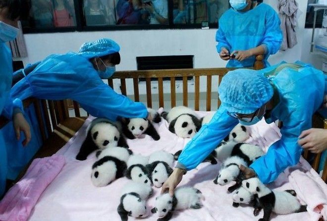 Мимимиметр зашкаливает! :-)