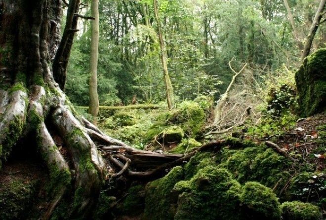 Любимое место великого писателя.