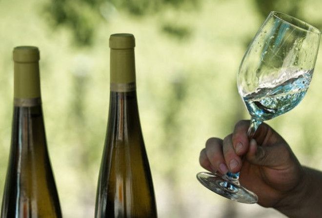 Невероятно, но факт