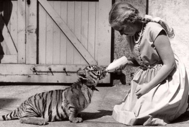 Эти снимки вас точно удивят!