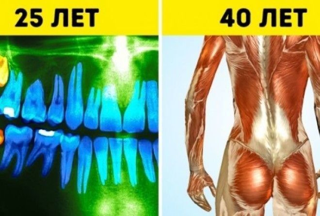В организме человека каждый день происходят изменения.