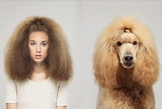 ЗАБАВНОЕ СХОДСТВО