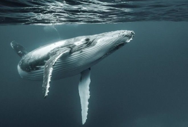 Аж дух захватывает