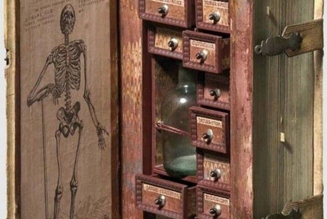 Оказывается, профессии археолога и смотрителя музея вовсе не безопасные, как это кажется на первый взгляд.