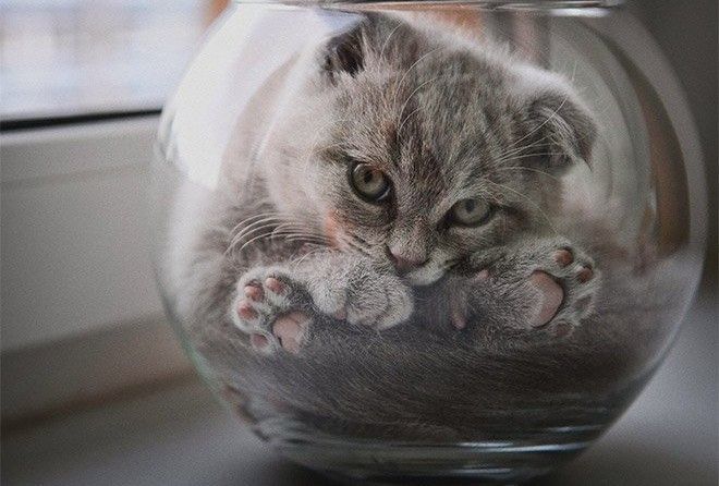 А вы как считаете? 